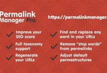 Permalink Manager Pro WordPress plugin dashboard with custom URL and redirect settings