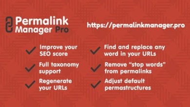 Permalink Manager Pro WordPress plugin dashboard with custom URL and redirect settings
