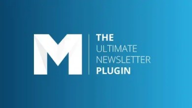 Mailster WordPress email newsletter plugin dashboard with campaign management features