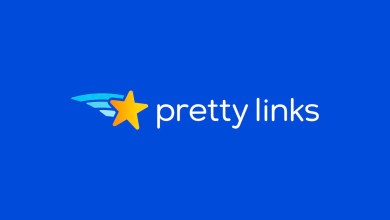 Pretty Links Developer Edition WordPress plugin dashboard for affiliate link management