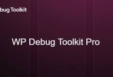 WP Debug Toolkit Pro dashboard displaying error logs, performance monitoring, and debugging tools