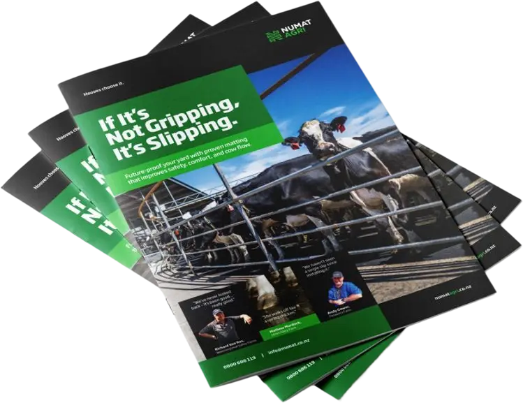 Brochure Sample Image