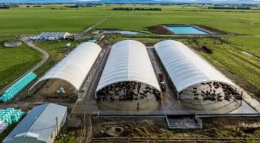 feedpad