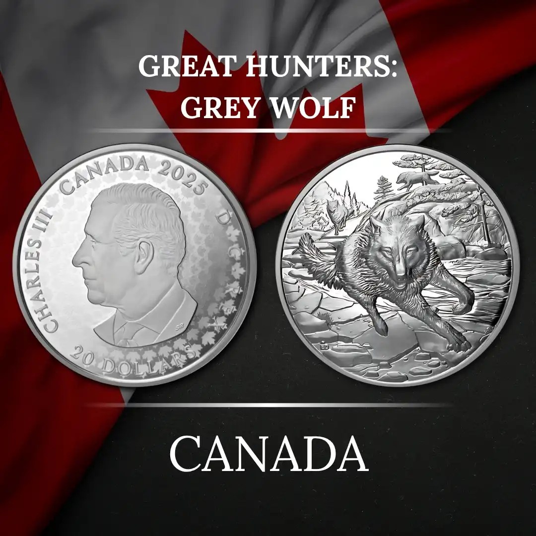 El Lobo Gris en Plena Caza: Nueva Moneda de Plata