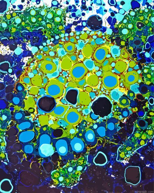 Abstract Turtle Painting by Numbers.jpeg