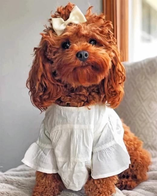 Adorable Cockapoo Painting by Numbers.jpeg