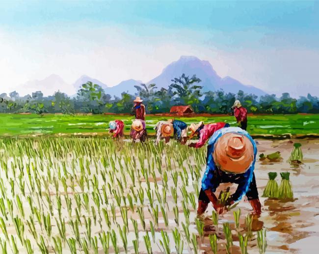 Aesthetic Rice Field Painting by Numbers.jpeg
