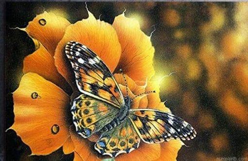 Autumn Butterfly Insects Painting by Numbers.jpeg