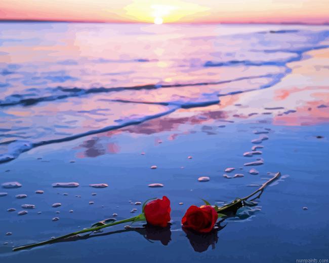 Beautiful Roses And Beach Painting by Numbers.jpeg