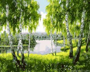 Beautiful Tree Painting by Numbers.jpeg