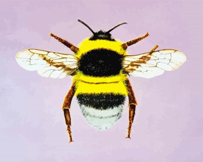 Bumblebee Insect Painting by Numbers.jpeg