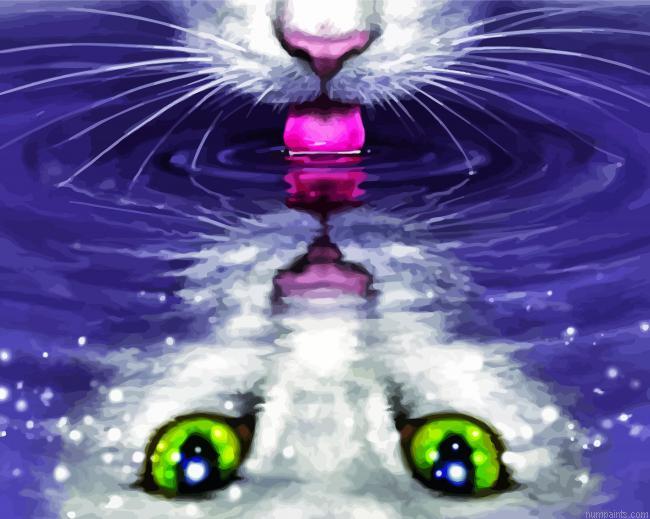 Cat Reflection In Water Painting by Numbers.jpeg