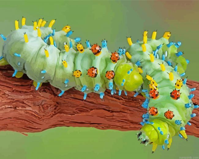Caterpillar Insect Painting by Numbers.jpeg