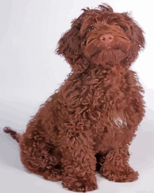 Chocolate Cockapoo Dog Painting by Numbers.jpeg