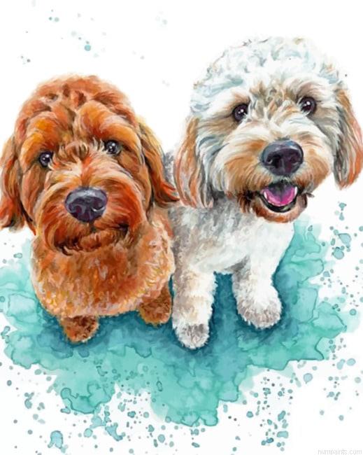 Cockapoo Dogs Painting by Numbers.jpeg