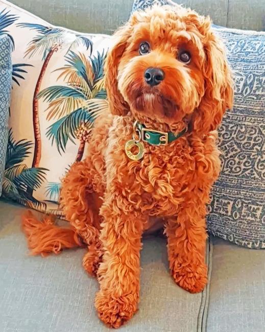 Cockapoo Puppy Painting by Numbers.jpeg