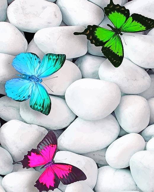 Colorful Butterflies Insects Painting by Numbers.jpeg