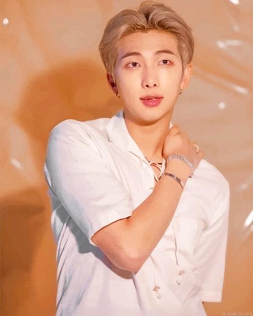 Cool RM BTS Rappers Painting by Numbers.jpeg