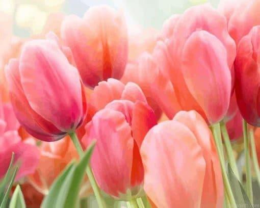 Flowers Pink Roses Painting by Numbers.jpeg
