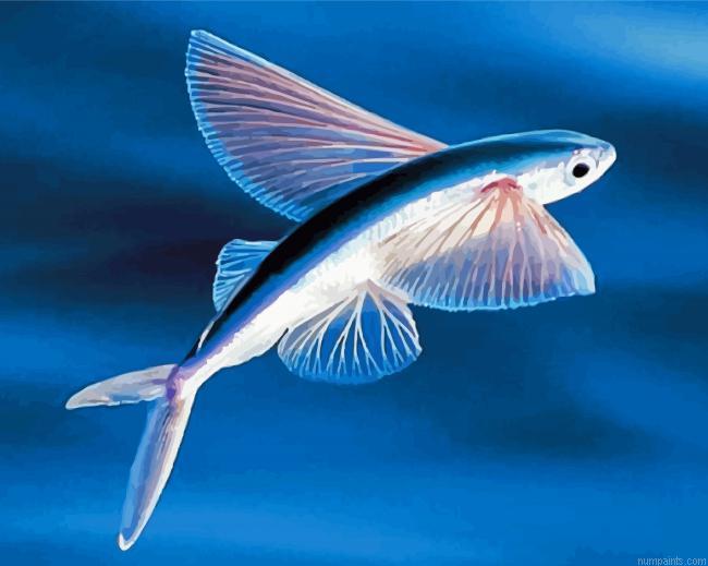 Fly Fish Painting by Numbers.jpeg