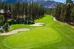 Golf Course Painting by Numbers.jpeg
