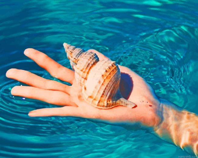 Hand Shell Seashells Painting by Numbers.jpeg
