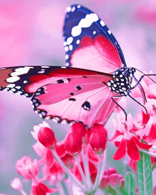 Pink Butterfly Insects Painting by Numbers.jpeg