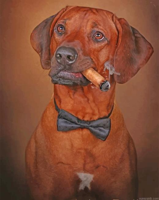 Rhodesian Ridgeback Smoking Painting by Numbers.jpeg