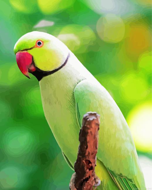 Rose Ringed Parakeet Painting by Numbers.jpeg
