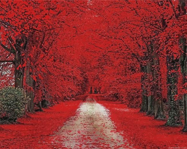 Trees Red Path Painting by Numbers.jpeg
