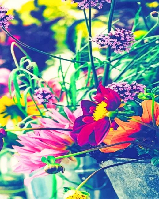 Wildflowers Roses Painting by Numbers.jpeg