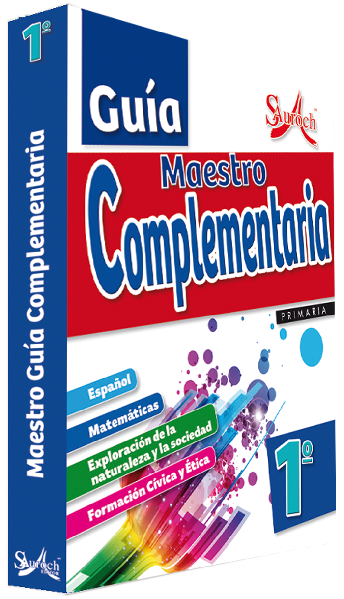 Maestro. Guía complementaria 1°