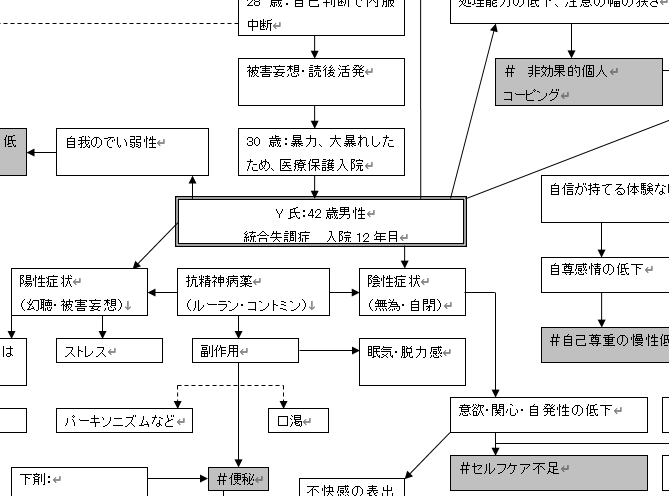 統合失調症患者 看護過程 ゴードン11項目のアセスメント、看護計画、関連図.pdf