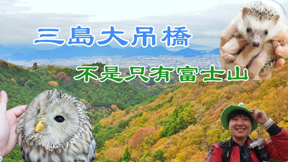 靜岡｜三島大吊橋（天空步道）．充滿體驗活動的日本第一長的吊橋