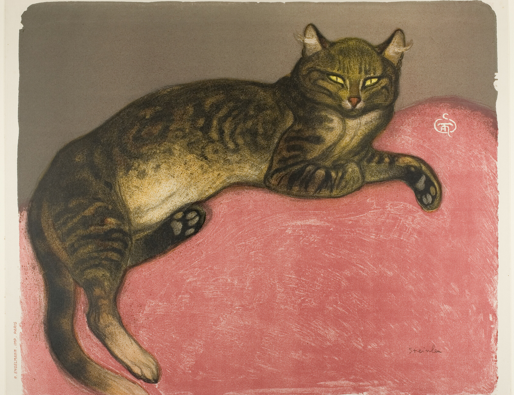 Image of a tabby cat lounging on a pink cushion