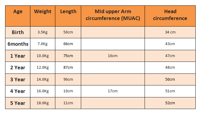 Physical growth slows down between five and eight years of age, while body proportions and motor skills become more refined. Measurement Components Of Child Physical Growth