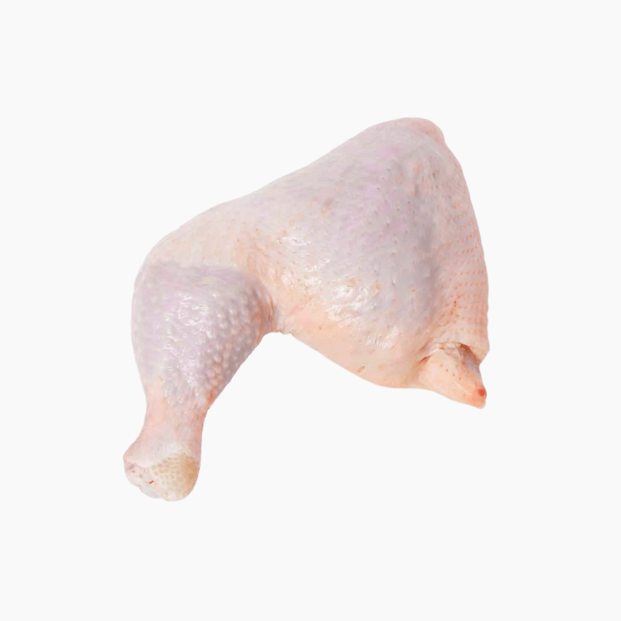 Upper Thigh