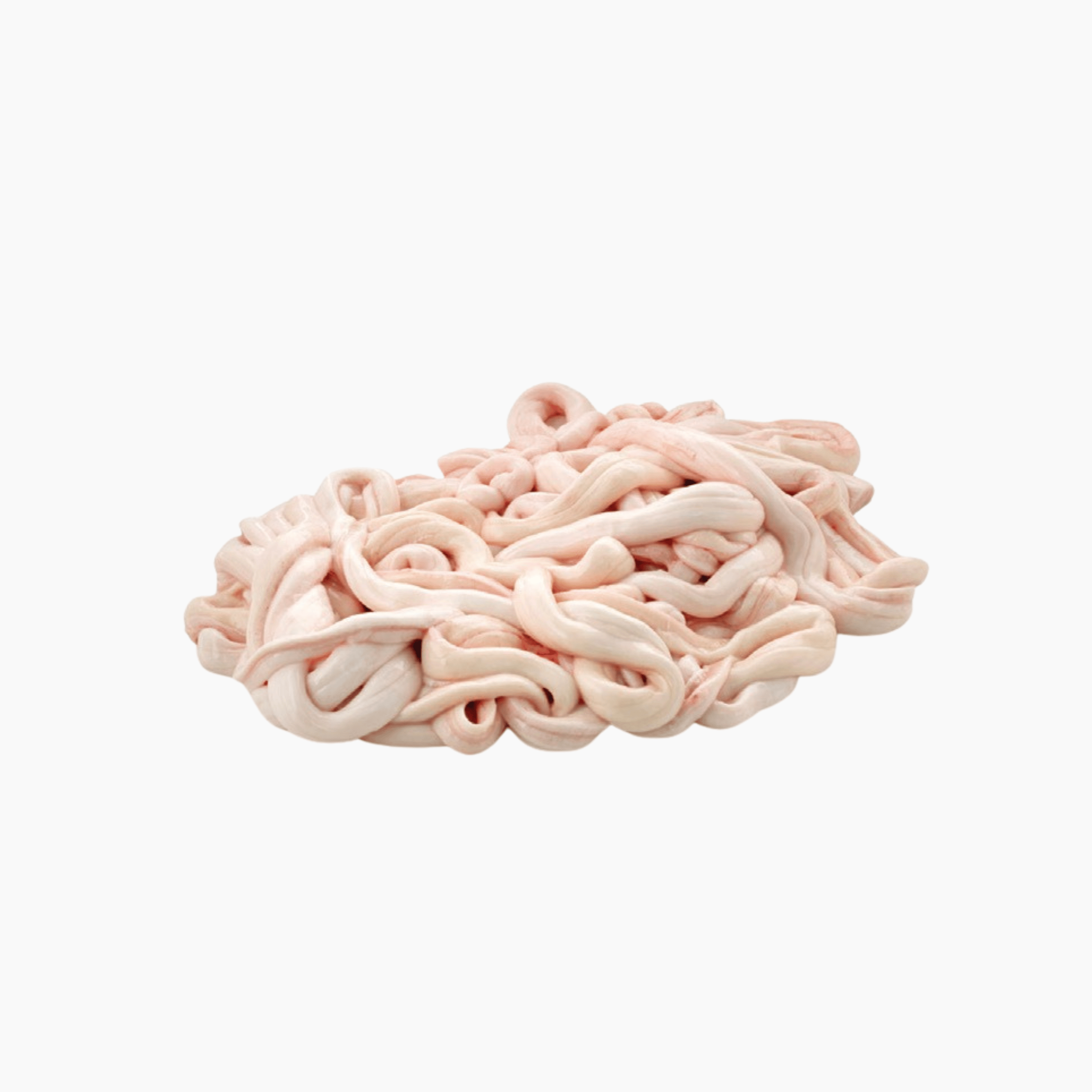 Intestine
