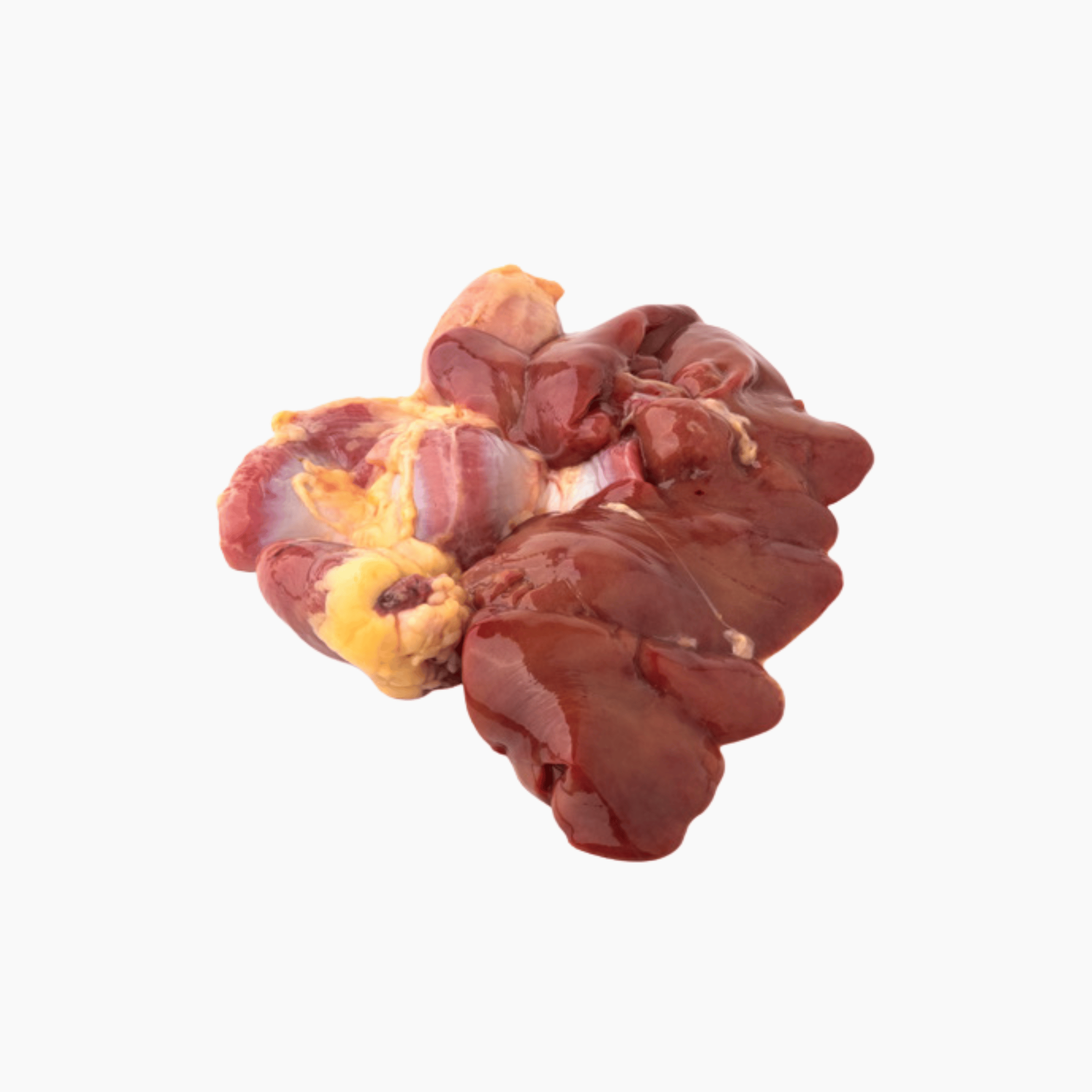 Liver & Gizzard