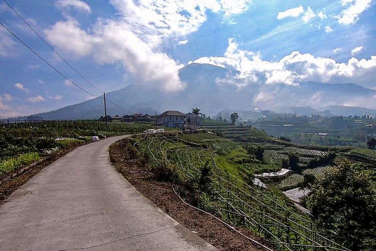 Tempat Wisata Sekitar Tol Kahyangan Magelang, Hutan Pinus sampai Air Terjun