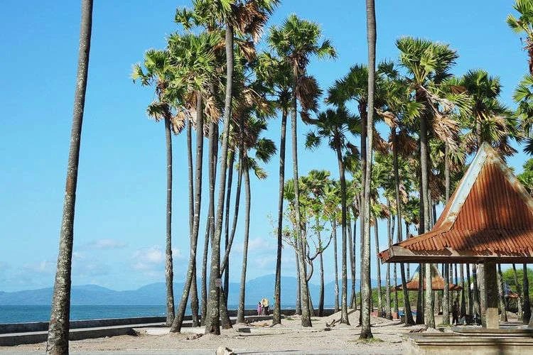 5 Oleh-Oleh Camilan Khas Kupang, Ada Jagung Titi