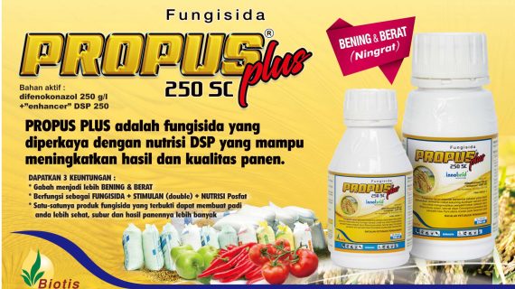 Review Fungisida Propus Plus: Bukan Sekedar Fungisida Difenokonazol Berikut Kelebihannnya