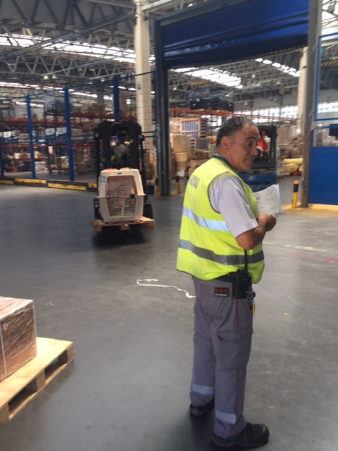 Stella in her crate, being delivered in the warehouse