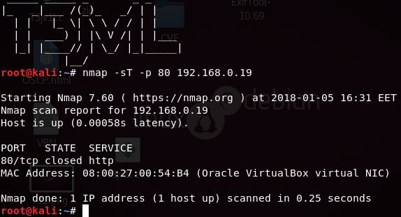 Nmap Firewall Bypass Nutcrackerssecurity - Gorgeous Landscape Illustration - Mobile