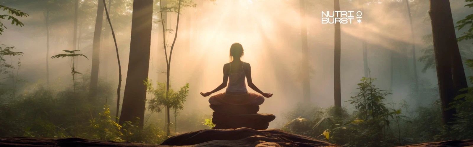 Embracing The Holistic Wellness Path Nutriburstindia