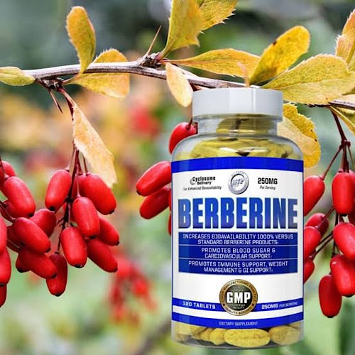 Hi-Tech Pharma Berberine 120 tabs