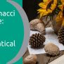 The Fibonacci Sequence: Nature’s Hidden Mathematical Code - Nutritious ...