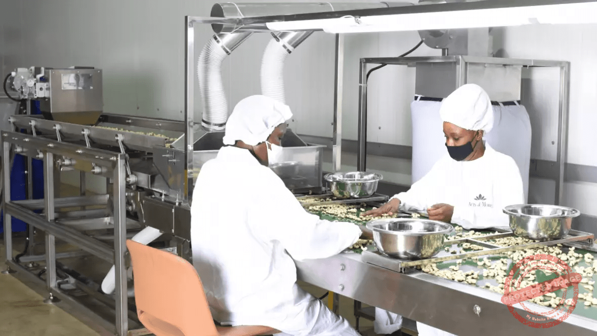 Nuts & More packing of premium cashew products.