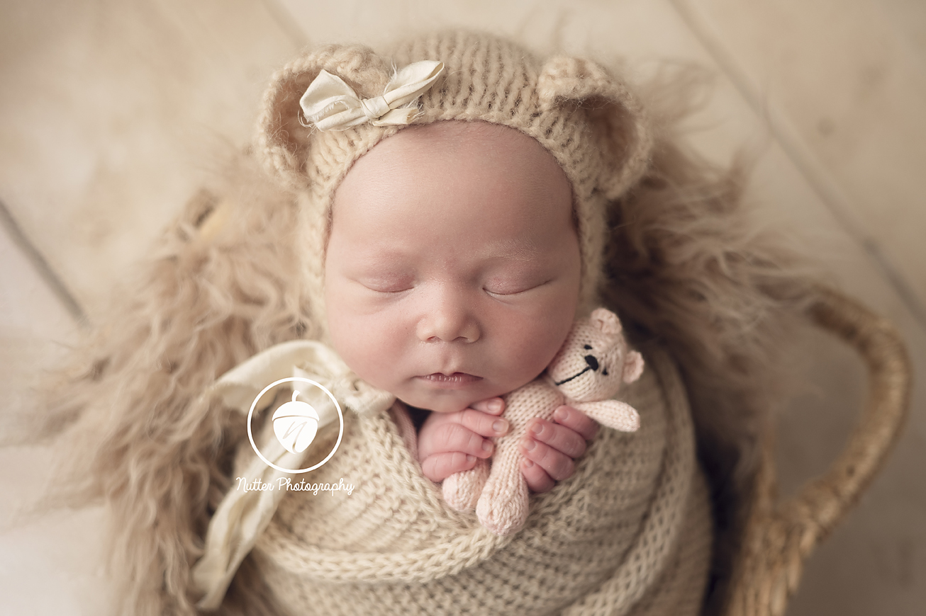 cozy knit newborn teddy bear baby photo