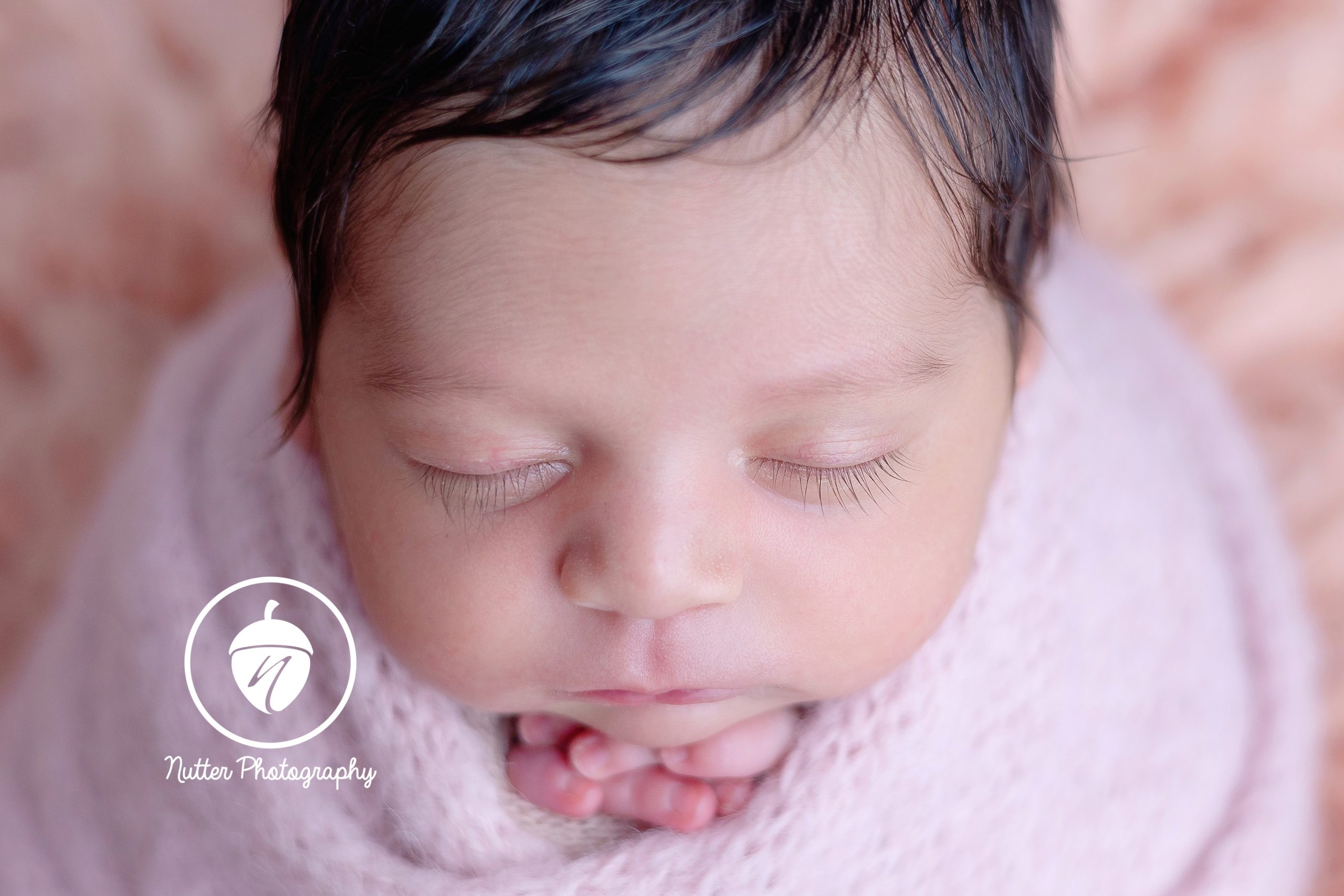 newborn baby girl - lowell photographer
